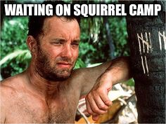 Cast Away | WAITING ON SQUIRREL CAMP | image tagged in cast away | made w/ Imgflip meme maker