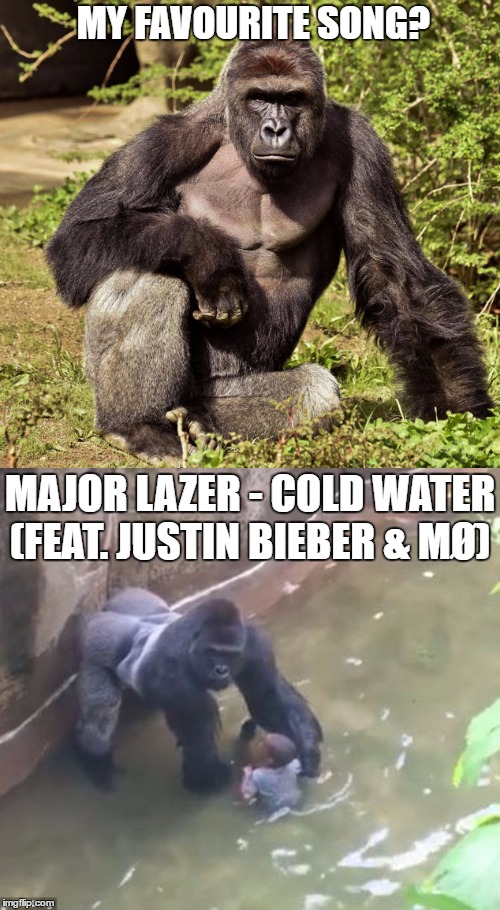 The lyrics to the song even match my boy harambe because I can't let go D: | MY FAVOURITE SONG? MAJOR LAZER - COLD WATER (FEAT. JUSTIN BIEBER & MØ) | image tagged in harambe | made w/ Imgflip meme maker