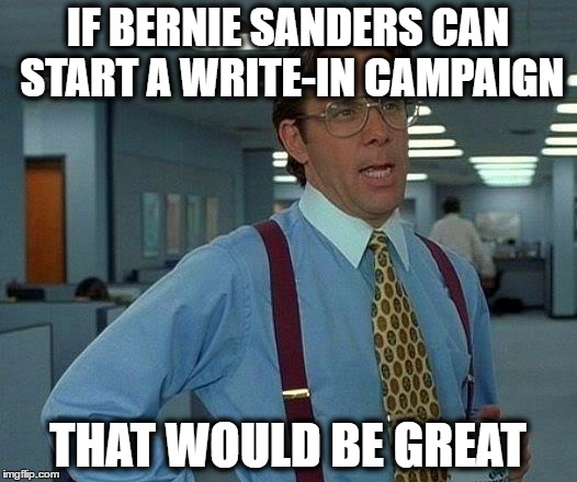 i don't like him working with hillary! wish he could be more independent! | IF BERNIE SANDERS CAN START A WRITE-IN CAMPAIGN; THAT WOULD BE GREAT | image tagged in memes,that would be great,bernie sanders,2016 elections | made w/ Imgflip meme maker