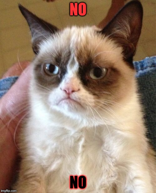 Grumpy Cat Meme | NO NO | image tagged in memes,grumpy cat | made w/ Imgflip meme maker