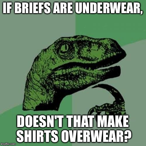Philosoraptor | IF BRIEFS ARE UNDERWEAR, DOESN'T THAT MAKE SHIRTS OVERWEAR? | image tagged in memes,philosoraptor | made w/ Imgflip meme maker