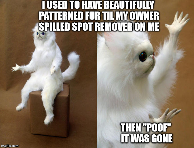 I USED TO HAVE BEAUTIFULLY PATTERNED FUR TIL MY OWNER SPILLED SPOT REMOVER ON ME THEN "POOF" IT WAS GONE | made w/ Imgflip meme maker