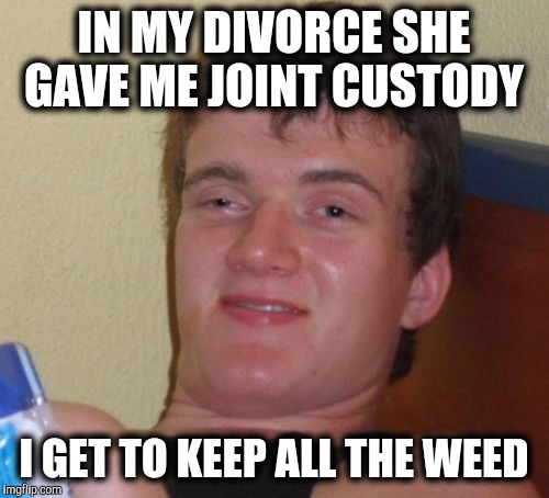 10 guy gets divorced. | IN MY DIVORCE SHE GAVE ME JOINT CUSTODY; I GET TO KEEP ALL THE WEED | image tagged in memes,10 guy,divorce,just divorced | made w/ Imgflip meme maker