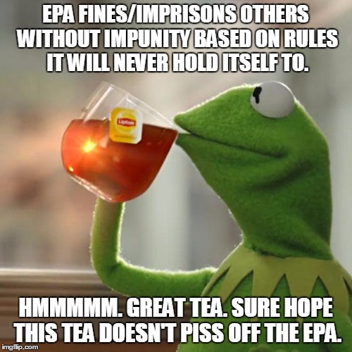 But That's None Of My Business Meme | EPA FINES/IMPRISONS OTHERS WITHOUT IMPUNITY BASED ON RULES IT WILL NEVER HOLD ITSELF TO. HMMMMM. GREAT TEA. SURE HOPE THIS TEA DOESN'T PISS  | image tagged in memes,but thats none of my business,kermit the frog | made w/ Imgflip meme maker