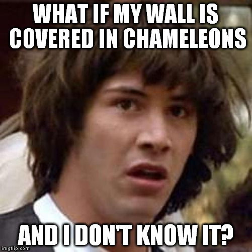 Conspiracy Keanu Meme | WHAT IF MY WALL IS COVERED IN CHAMELEONS AND I DON'T KNOW IT? | image tagged in memes,conspiracy keanu | made w/ Imgflip meme maker