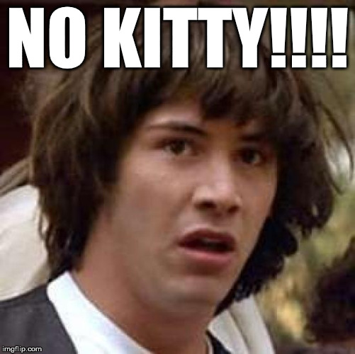 Conspiracy Keanu Meme | NO KITTY!!!! | image tagged in memes,conspiracy keanu | made w/ Imgflip meme maker