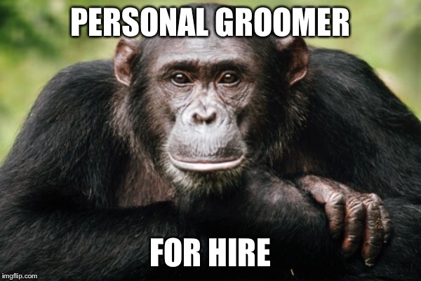 PERSONAL GROOMER FOR HIRE | made w/ Imgflip meme maker