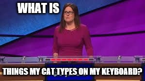 WHAT IS THINGS MY CAT TYPES ON MY KEYBOARD? | made w/ Imgflip meme maker