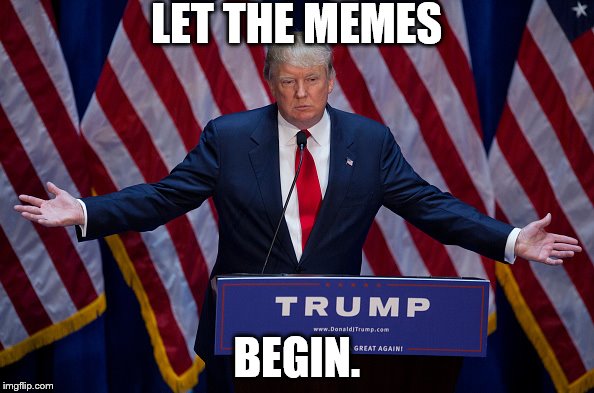 Donald Trump | LET THE MEMES; BEGIN. | image tagged in donald trump | made w/ Imgflip meme maker