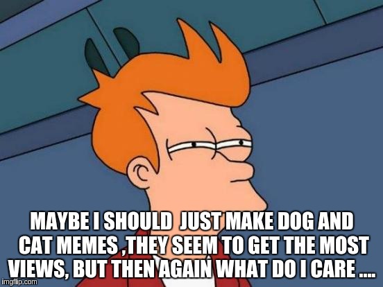 Futurama Fry Meme | MAYBE I SHOULD  JUST MAKE DOG AND CAT MEMES ,THEY SEEM TO GET THE MOST VIEWS, BUT THEN AGAIN WHAT DO I CARE .... | image tagged in memes,futurama fry | made w/ Imgflip meme maker