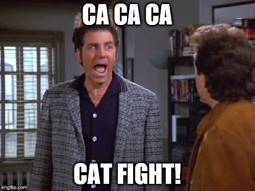 CA CA CA CAT FIGHT! | made w/ Imgflip meme maker