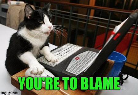 Fact Cat | YOU'RE TO BLAME | image tagged in fact cat | made w/ Imgflip meme maker
