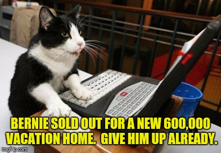 Fact Cat | BERNIE SOLD OUT FOR A NEW 600,000 VACATION HOME.  GIVE HIM UP ALREADY. | image tagged in fact cat | made w/ Imgflip meme maker