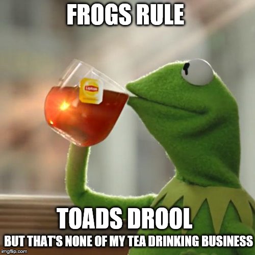 But That's None Of My Business Meme | FROGS RULE; TOADS DROOL; BUT THAT'S NONE OF MY TEA DRINKING BUSINESS | image tagged in memes,but thats none of my business,kermit the frog | made w/ Imgflip meme maker