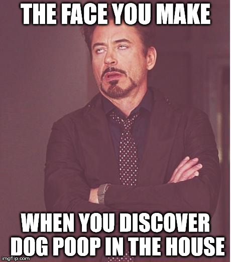 Face You Make Robert Downey Jr Meme | THE FACE YOU MAKE; WHEN YOU DISCOVER DOG POOP IN THE HOUSE | image tagged in memes,face you make robert downey jr | made w/ Imgflip meme maker