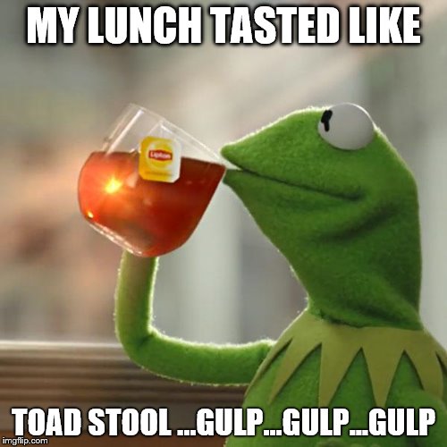 But That's None Of My Business | MY LUNCH TASTED LIKE; TOAD STOOL ...GULP...GULP...GULP | image tagged in memes,but thats none of my business,kermit the frog | made w/ Imgflip meme maker