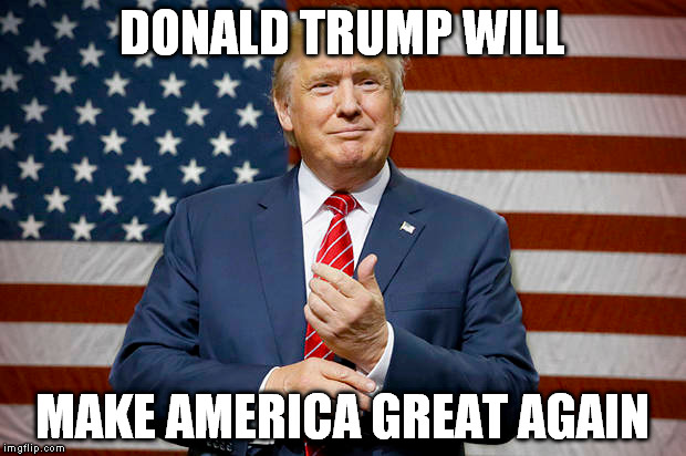 DONALD TRUMP WILL; MAKE AMERICA GREAT AGAIN | image tagged in The_Donald | made w/ Imgflip meme maker