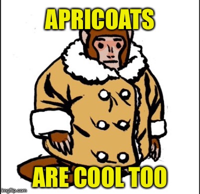 APRICOATS ARE COOL TOO | made w/ Imgflip meme maker