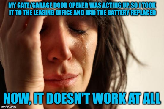 Of course... | MY GATE/GARAGE DOOR OPENER WAS ACTING UP, SO I TOOK IT TO THE LEASING OFFICE AND HAD THE BATTERY REPLACED; NOW, IT DOESN'T WORK AT ALL | image tagged in memes,first world problems | made w/ Imgflip meme maker