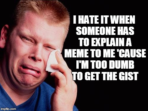 cry | I HATE IT WHEN SOMEONE HAS TO EXPLAIN A MEME TO ME 'CAUSE I'M TOO DUMB TO GET THE GIST | image tagged in cry | made w/ Imgflip meme maker