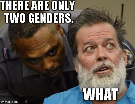 What? | THERE ARE ONLY TWO GENDERS. WHAT | image tagged in what | made w/ Imgflip meme maker