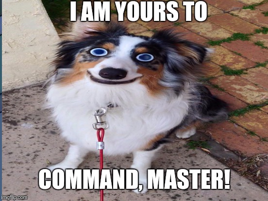 I AM YOURS TO COMMAND, MASTER! | made w/ Imgflip meme maker