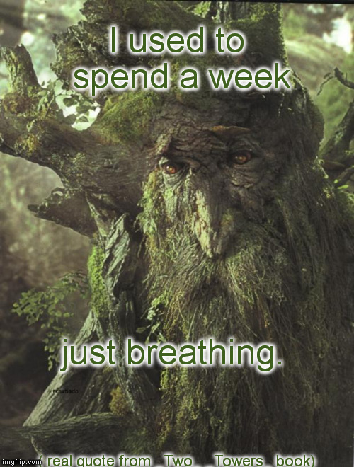 Tree Beard | I used to spend a week; just breathing. ( real quote from _Two_ _Towers_ book) | image tagged in tree beard | made w/ Imgflip meme maker