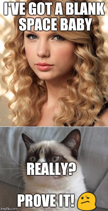 Grumpy Cat says "no" to Taylor Swift as NYC Global Welcome Ambas | I'VE GOT A BLANK SPACE BABY; REALLY?

               PROVE IT! 😕 | image tagged in grumpy cat says no to taylor swift as nyc global welcome ambas | made w/ Imgflip meme maker