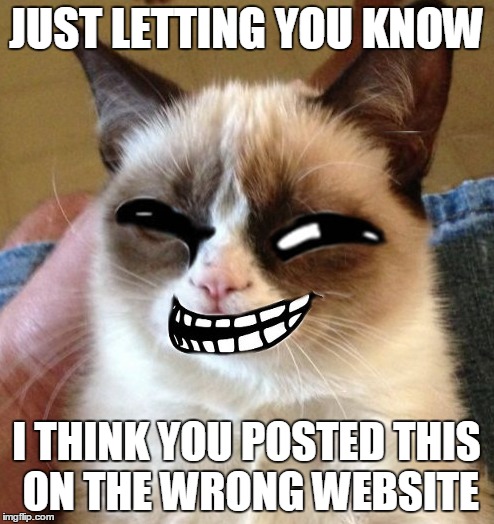 JUST LETTING YOU KNOW I THINK YOU POSTED THIS ON THE WRONG WEBSITE | made w/ Imgflip meme maker