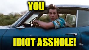 ace ventura car | YOU IDIOT ASSHOLE! | image tagged in ace ventura car | made w/ Imgflip meme maker