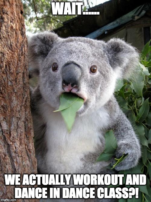 Surprised Koala Meme | WAIT...... WE ACTUALLY WORKOUT AND DANCE IN DANCE CLASS?! | image tagged in memes,surprised koala | made w/ Imgflip meme maker