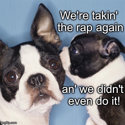 We're takin' the rap again an' we didn't even do it! | made w/ Imgflip meme maker