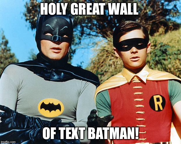 holy batman | HOLY GREAT WALL; OF TEXT BATMAN! | image tagged in holy batman | made w/ Imgflip meme maker