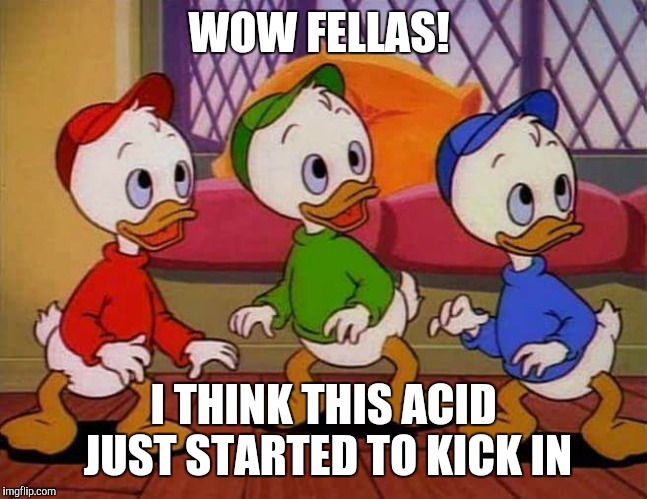 WOW FELLAS! I THINK THIS ACID JUST STARTED TO KICK IN | image tagged in tripping ducks | made w/ Imgflip meme maker