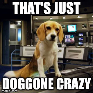 Captain Archer's Beagle Porthos | THAT'S JUST DOGGONE CRAZY | image tagged in captain archer's beagle porthos | made w/ Imgflip meme maker
