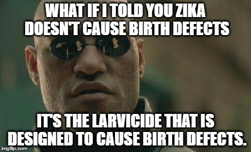 Matrix Morpheus Meme | WHAT IF I TOLD YOU ZIKA DOESN'T CAUSE BIRTH DEFECTS; IT'S THE LARVICIDE THAT IS DESIGNED TO CAUSE BIRTH DEFECTS. | image tagged in memes,matrix morpheus | made w/ Imgflip meme maker