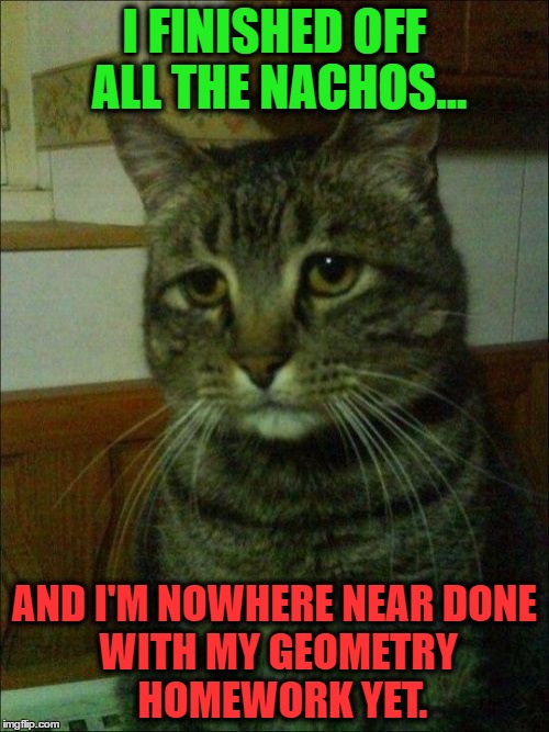 I be like... | I FINISHED OFF ALL THE NACHOS... AND I'M NOWHERE NEAR
DONE WITH MY GEOMETRY 
HOMEWORK YET. | image tagged in memes,depressed cat,math,geometry,math munchies,homework | made w/ Imgflip meme maker