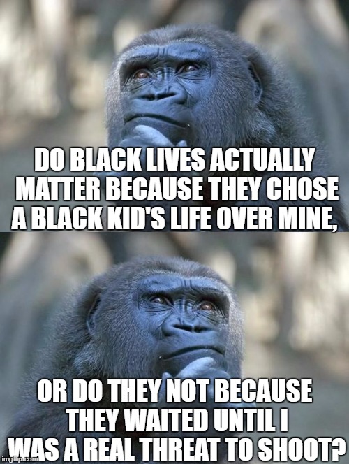 Gorilla Life Questions #Harambe | DO BLACK LIVES ACTUALLY MATTER BECAUSE THEY CHOSE A BLACK KID'S LIFE OVER MINE, OR DO THEY NOT BECAUSE THEY WAITED UNTIL I WAS A REAL THREAT TO SHOOT? | image tagged in thinking gorilla,harambe,black lives matter,racism,thinking meme,on the one hand | made w/ Imgflip meme maker