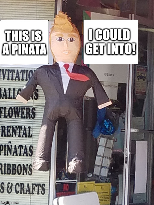 Trump Pinata |  I COULD GET INTO! THIS IS A PINATA | image tagged in anti trump meme,trump pinata | made w/ Imgflip meme maker