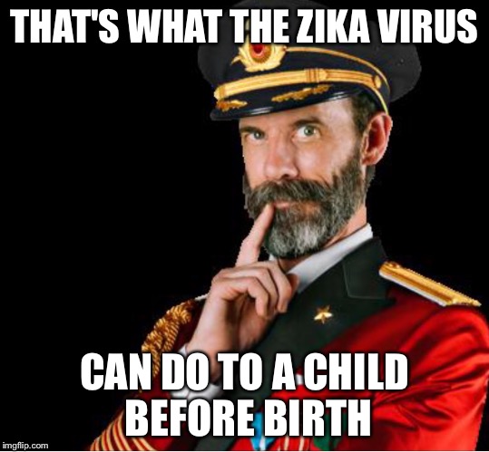 OBVIOUSLY A GOOD SUGGESTION | THAT'S WHAT THE ZIKA VIRUS CAN DO TO A CHILD BEFORE BIRTH | image tagged in obviously a good suggestion | made w/ Imgflip meme maker