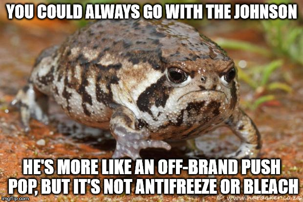 YOU COULD ALWAYS GO WITH THE JOHNSON HE'S MORE LIKE AN OFF-BRAND PUSH POP, BUT IT'S NOT ANTIFREEZE OR BLEACH | image tagged in grumpy toad | made w/ Imgflip meme maker