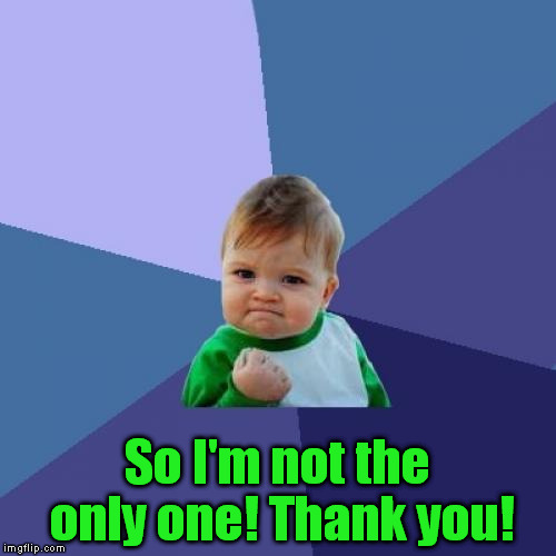 Success Kid Meme | So I'm not the only one! Thank you! | image tagged in memes,success kid | made w/ Imgflip meme maker