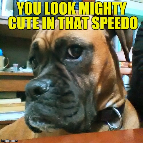 YOU LOOK MIGHTY CUTE IN THAT SPEEDO | made w/ Imgflip meme maker