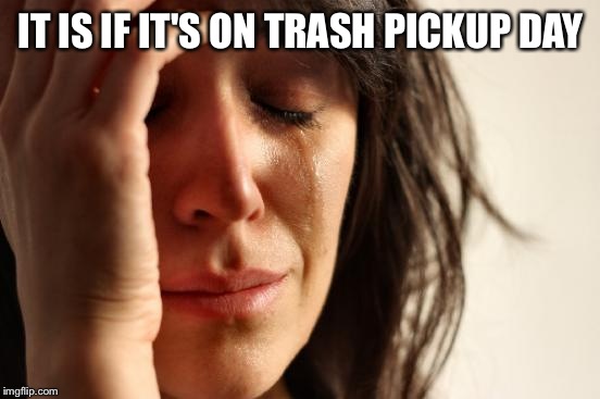 First World Problems Meme | IT IS IF IT'S ON TRASH PICKUP DAY | image tagged in memes,first world problems | made w/ Imgflip meme maker