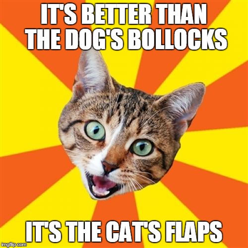 Better than the dog's bollocks | IT'S BETTER THAN THE DOG'S BOLLOCKS; IT'S THE CAT'S FLAPS | image tagged in memes,bad advice cat,dogs,cats | made w/ Imgflip meme maker