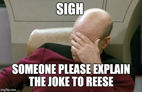 Captain Picard Facepalm Meme | SIGH SOMEONE PLEASE EXPLAIN THE JOKE TO REESE | image tagged in memes,captain picard facepalm | made w/ Imgflip meme maker