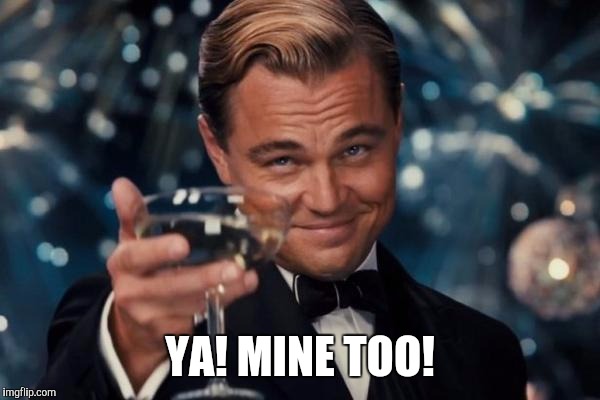 Leonardo Dicaprio Cheers Meme | YA! MINE TOO! | image tagged in memes,leonardo dicaprio cheers | made w/ Imgflip meme maker
