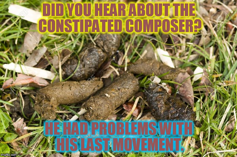 Dog Poop (A Abby_Normal template) | DID YOU HEAR ABOUT THE CONSTIPATED COMPOSER? HE HAD PROBLEMS WITH HIS LAST MOVEMENT. | image tagged in dog poop,funny memes,poop,jokes,challenge accepted,laughs | made w/ Imgflip meme maker
