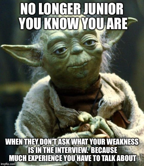 Star Wars Yoda | NO LONGER JUNIOR YOU KNOW YOU ARE; WHEN THEY DON'T ASK WHAT YOUR WEAKNESS IS IN THE INTERVIEW.  BECAUSE MUCH EXPERIENCE YOU HAVE TO TALK ABOUT | image tagged in memes,star wars yoda | made w/ Imgflip meme maker
