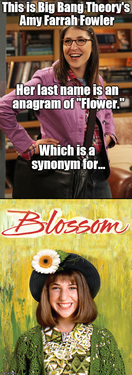Why did it take me so long to notice this? | This is Big Bang Theory's Amy Farrah Fowler; Her last name is an anagram of "Flower."; Which is a synonym for... | image tagged in big bang theory,amy farrah fowler,blossom,mayim bialik,the big bang theory | made w/ Imgflip meme maker
